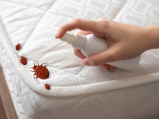 Pest Prevention Services in Amery, WI